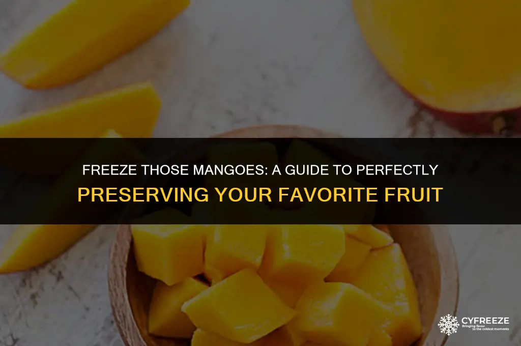 can i put mango in the freezer