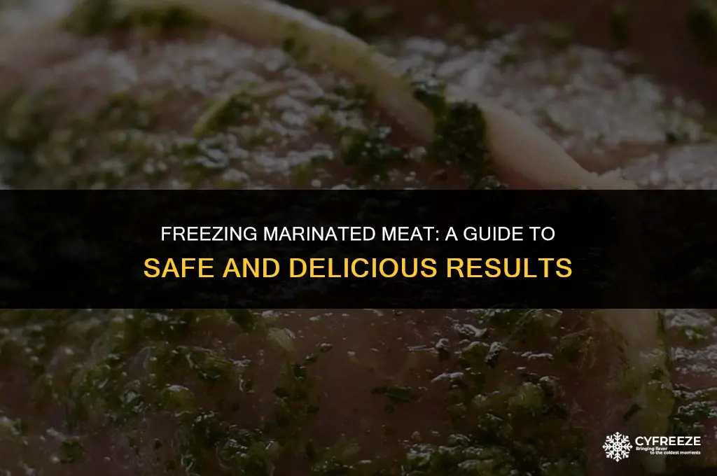 can i put marinade with meat and freeze