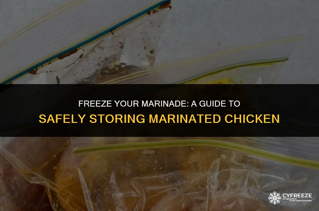 can i put marinated chicken in freezer
