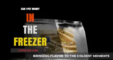 Chilling Your Cash: The Do's and Don'ts of Freezing Money
