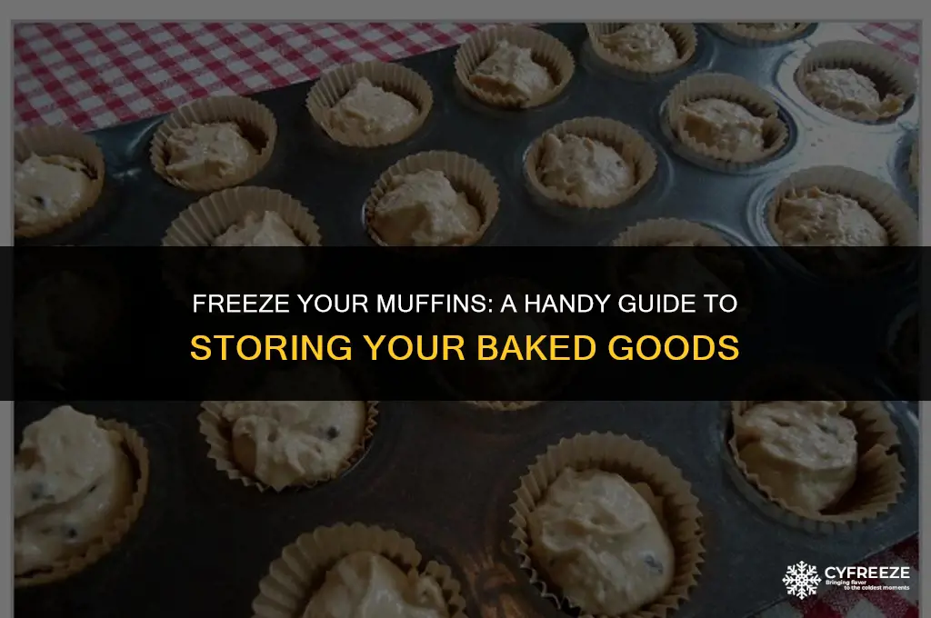 can i put muffins in the freezer