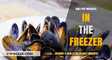 Freezing Mussels: A Handy Guide for Seafood Lovers