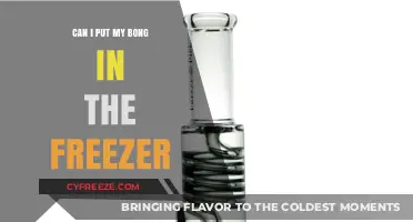 Chill Sessions: Freezing Your Bong - A Cool Idea or Not?