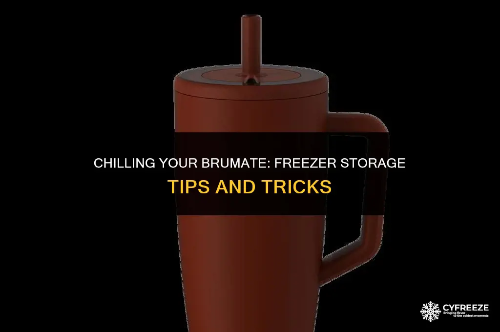 can i put my brumate in the freezer