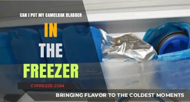 Freeze Your CamelBak Bladder: Yes or No?