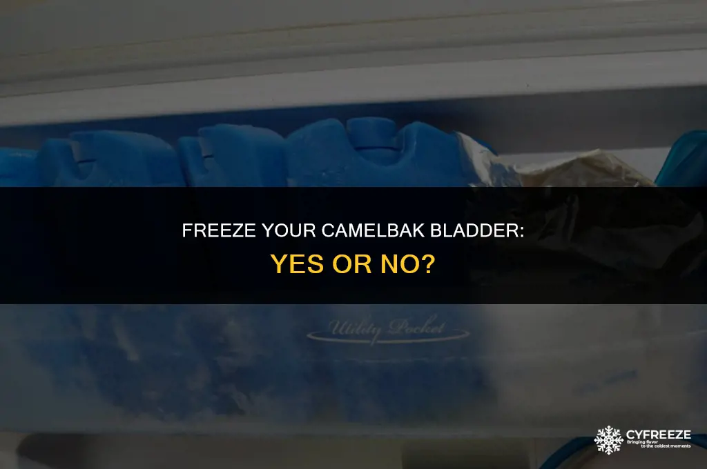 can i put my camelbak bladder in the freezer