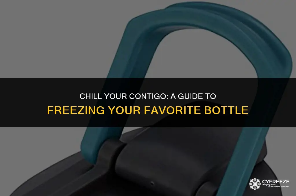 can i put my contigo bottle in the freezer