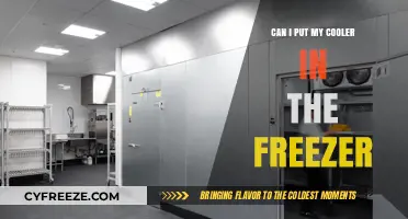Chill or Freeze: The Cooler's Dilemma Explained