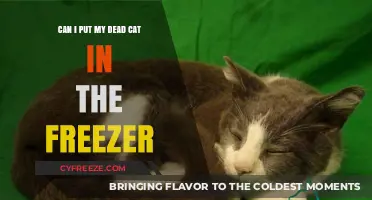 Preserving Memories: The Do's and Don'ts of Freezing Your Deceased Cat