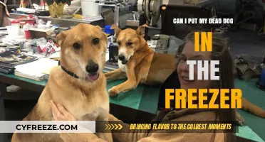 Preserving Memories: Freezing Your Beloved Pet After Passing
