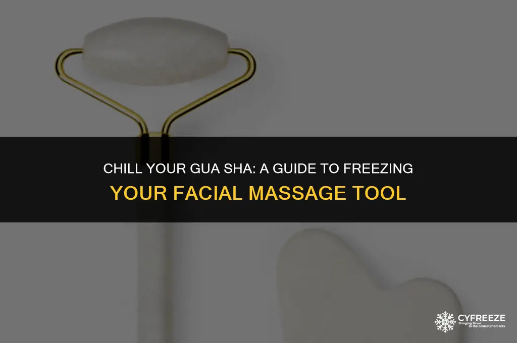 can i put my gua sha in the freezer