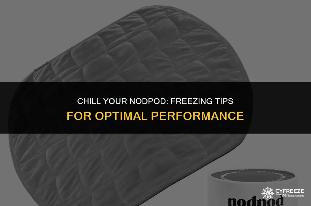 can i put my nodpod in the freezer