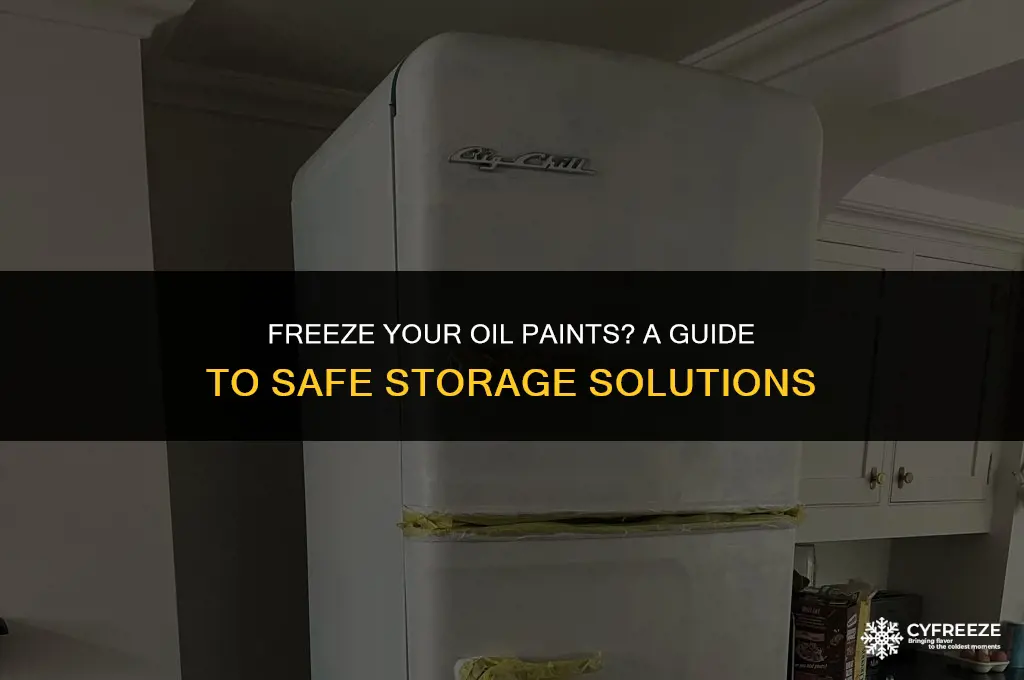 can i put my oil paint in the freezer