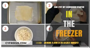 Sourdough Starter Storage: Freezing Tips for Long-Term Care