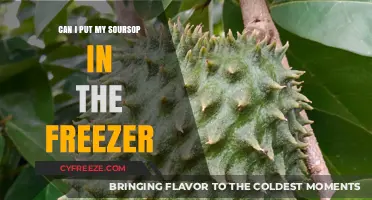 Freezing Soursop: A Handy Guide to Preserve Its Tropical Goodness