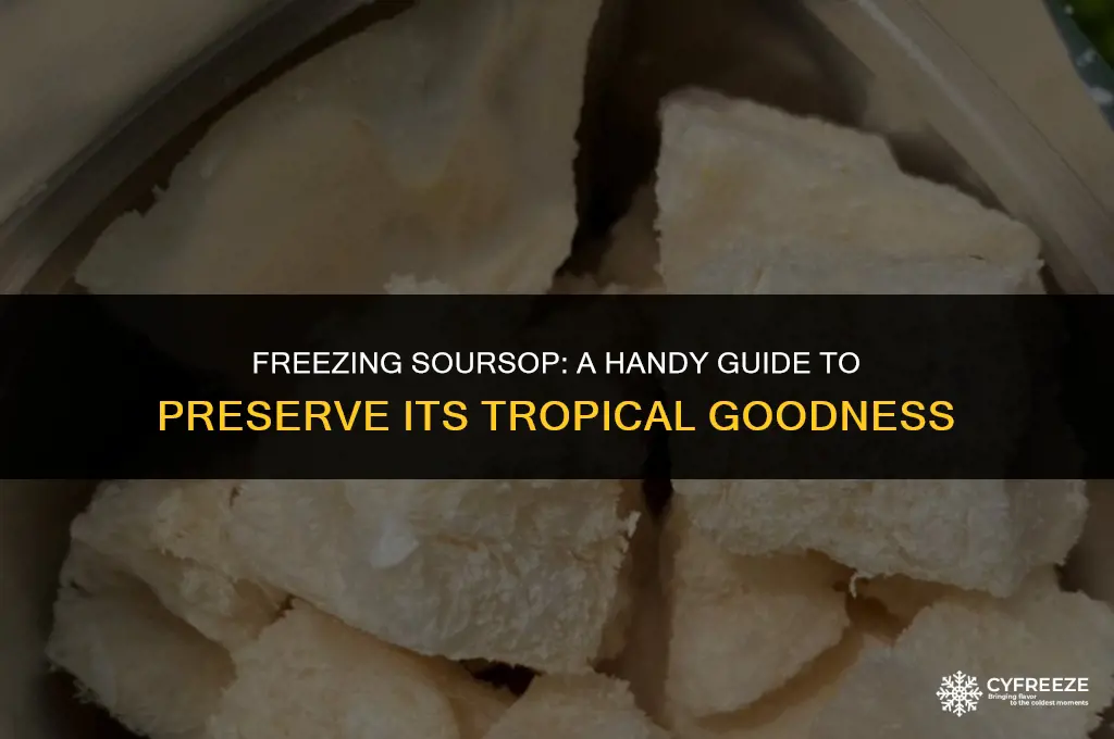 can i put my soursop in the freezer