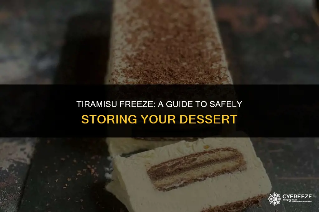 can i put my tiramisu in the freezer