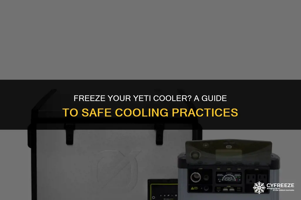 can i put my yeti cooler in the freezer