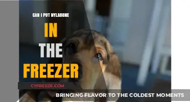 Chill or Not: Freezing Nylabones for Your Dog's Delight