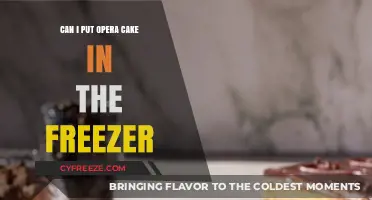 Freeze or Not: The Ultimate Guide to Storing Opera Cake