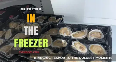 Freezing Oysters: A Handy Guide for Seafood Lovers