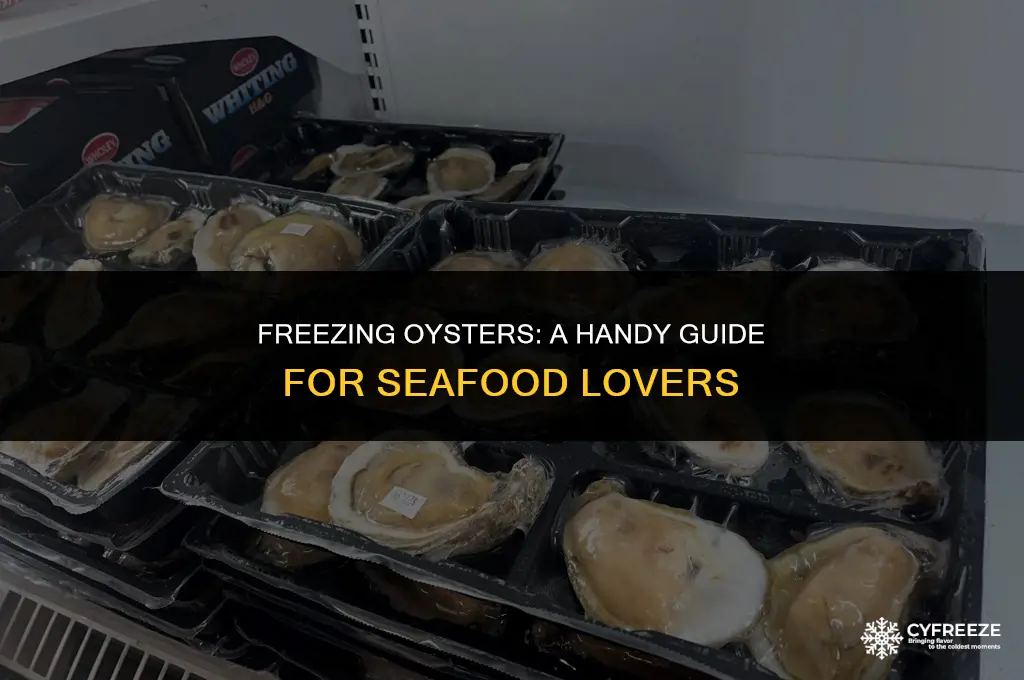 can i put oysters in the freezer