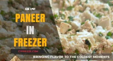 Paneer Preservation: A Guide to Freezing Your Favorite Cheese