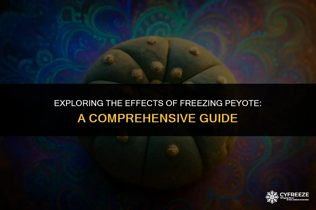 can i put peyote into a freezer