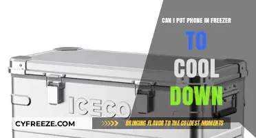 Chill Your Phone: Freezer Cooling Hack or Tech Danger?