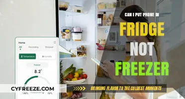 Chilling Your Phone: Fridge Yes, Freezer No!