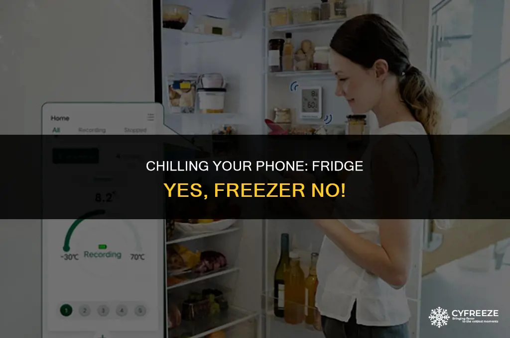 can i put phone in fridge not freezer