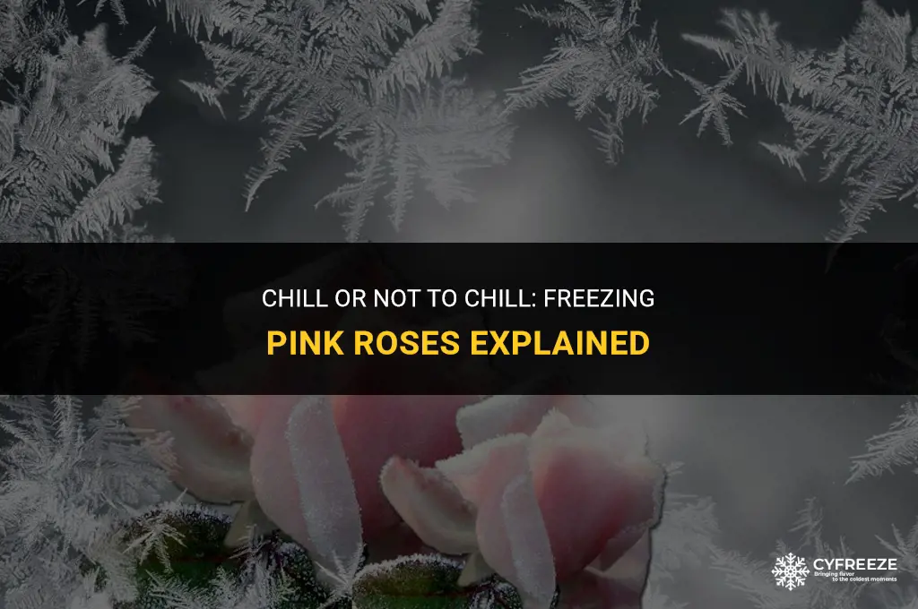 can i put pink rose in the freezer