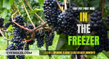 Chill or Not to Chill: Freezing Pinot Noir Explained