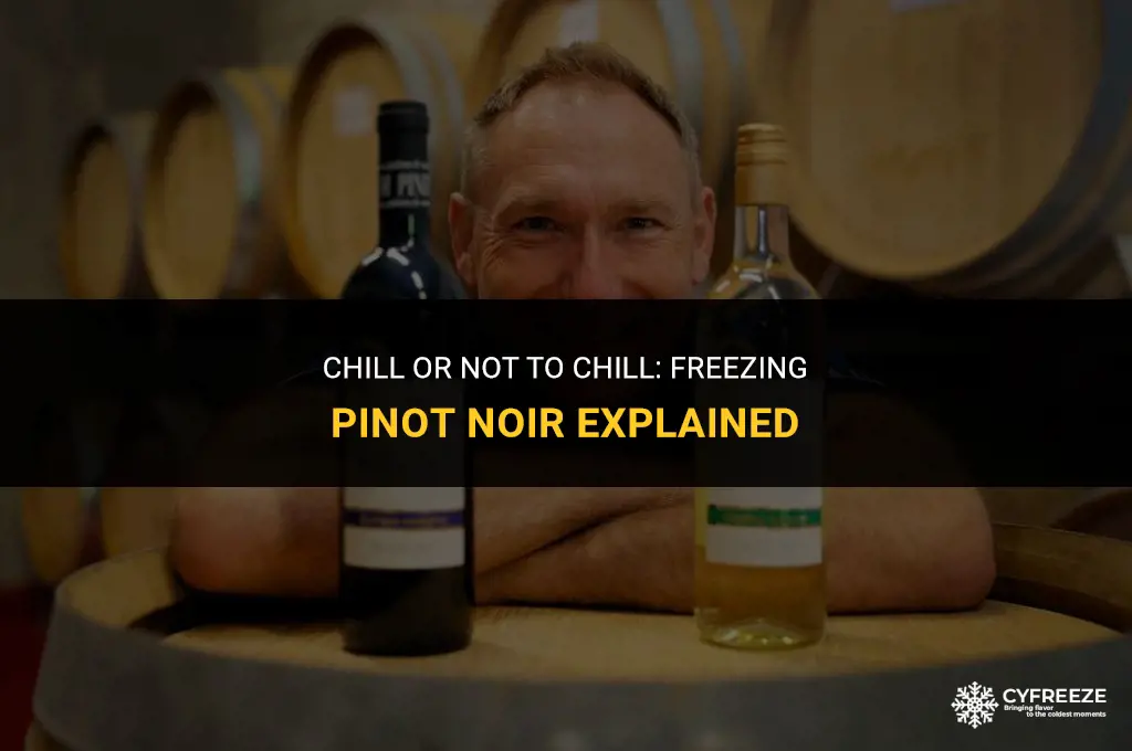 can i put pinot noir in the freezer