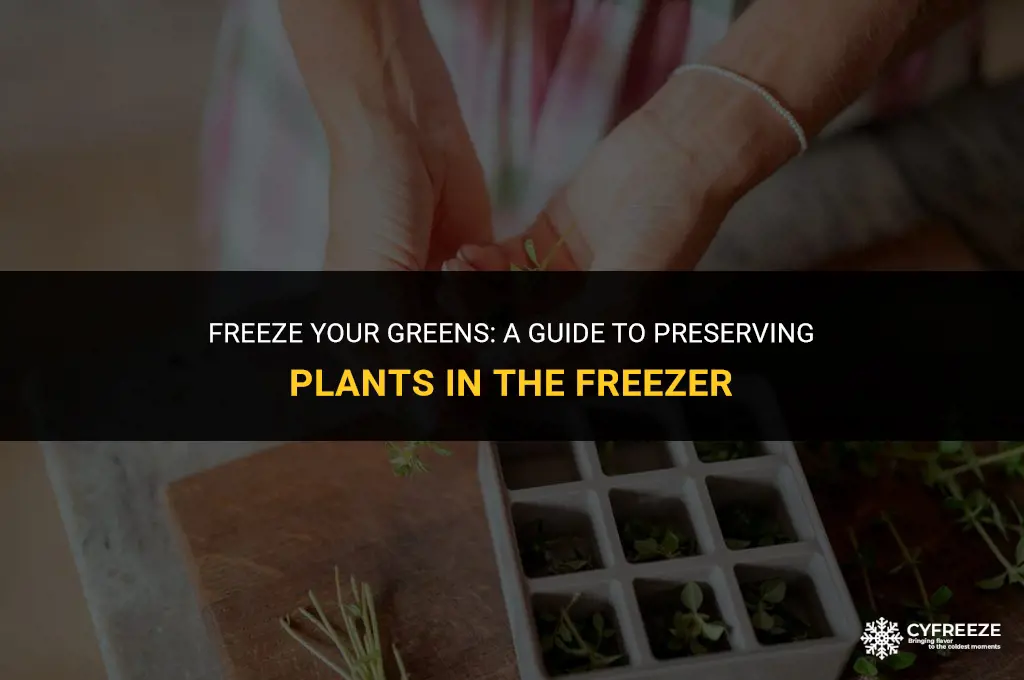 can i put plant in freezer to preserve it