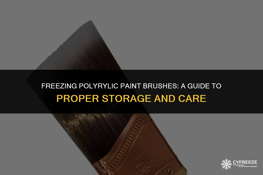can i put polycrilic paint brush in freezer