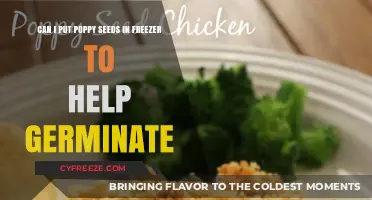 Boosting Poppy Seed Germination: The Freezer Method Explained