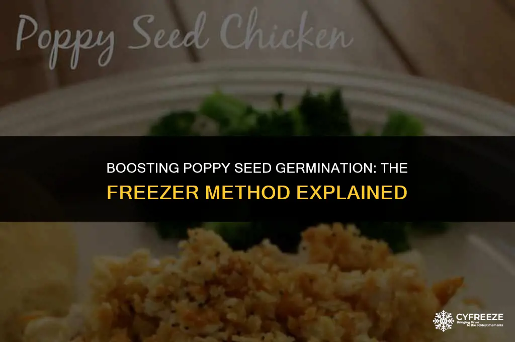 can i put poppy seeds in freezer to help germinate