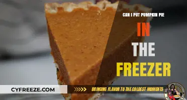 Freeze Your Pumpkin Pie: A Handy Guide to Holiday Dessert Storage