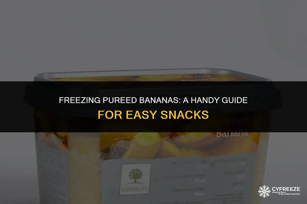 can i put puree bananas and freeze them