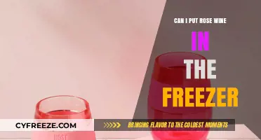 Chill or Not to Chill: The Rose Wine Freezer Dilemma