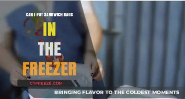 Freezing Sandwich Bags: A Handy Trick for Meal Prep and Storage