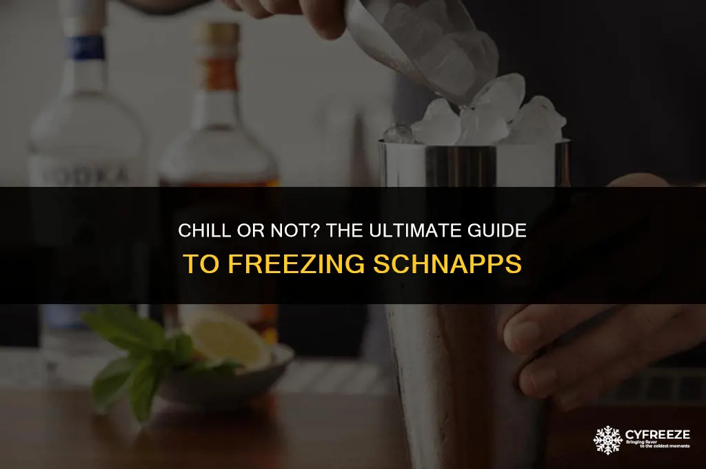 can i put schnapps in the freezer