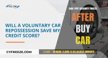 Securing Your New Ride: Can You Freeze Your Credit After Buying a Car?