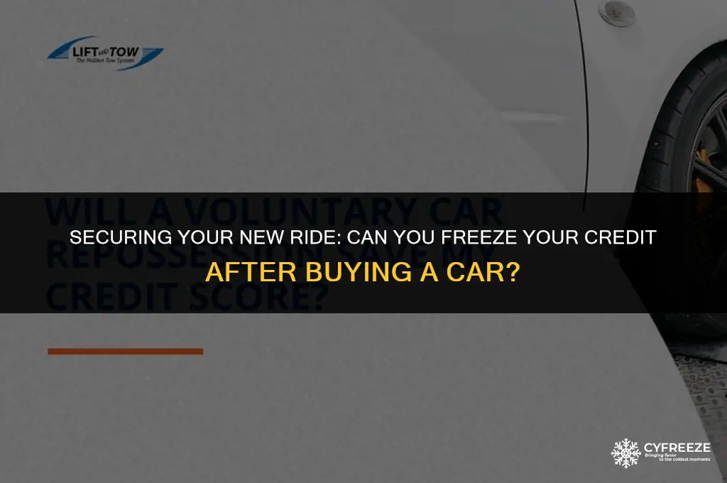 can i put security freeze after buy car
