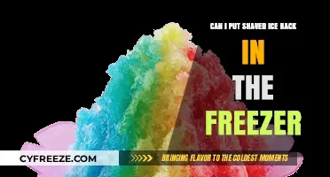 Reviving Refreshment: The Do's and Don'ts of Refreezing Shaved Ice