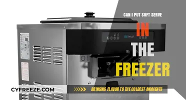 Soft Serve Storage: Freezer Friendly or Not?