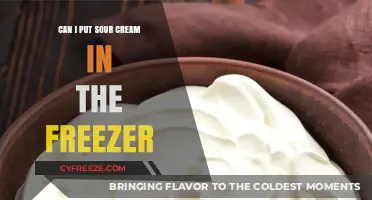 Sour Cream Storage: Freezer Friendly or Not?