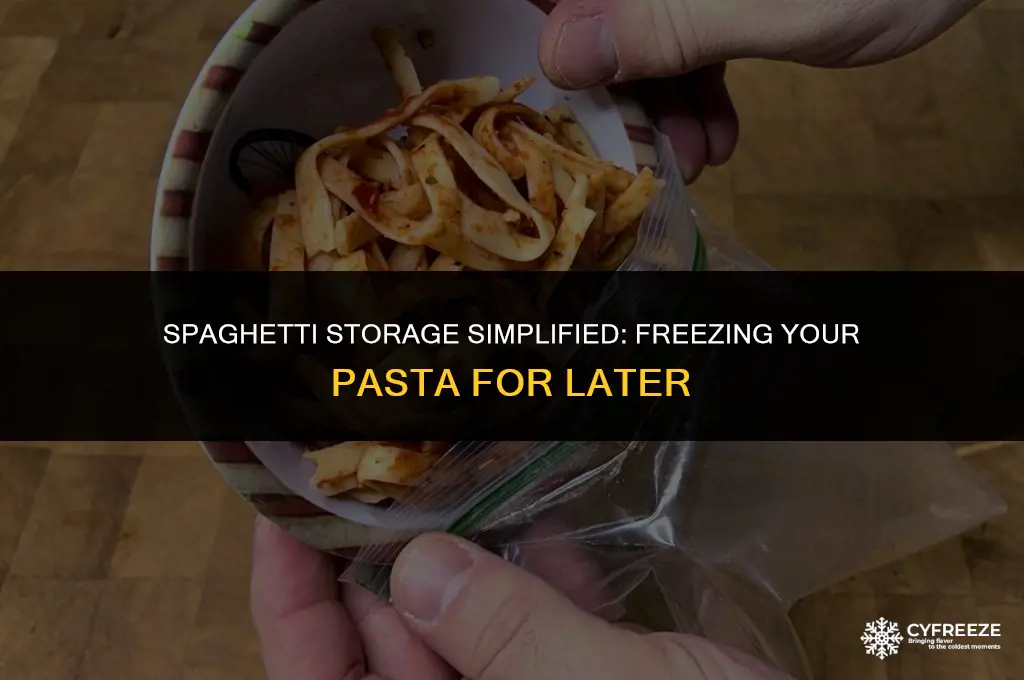 can i put spaghetti in the freezer