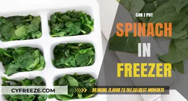 Spinach Storage Simplified: Freezing Tips for Maximum Freshness
